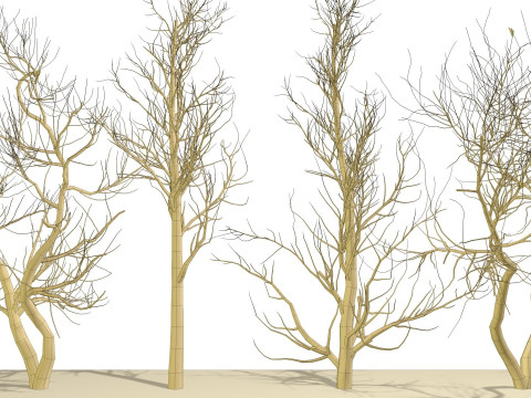 Bare trees 3Dモデル