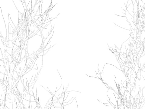 Bare trees 3Dモデル