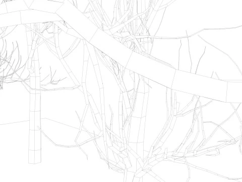 裸木 3Dモデル