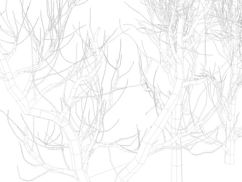 Bare trees 3Dモデル