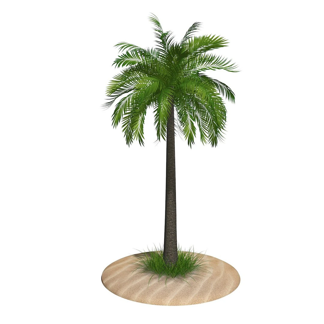 Palm Tree R1 3D Model .c4d .max .obj .3ds .fbx .stl .blend 