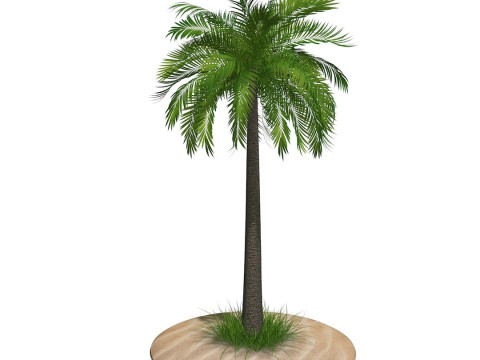 Palm Tree R1 3Dモデル