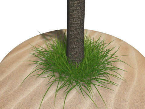 Palm Tree R1 Model 3D