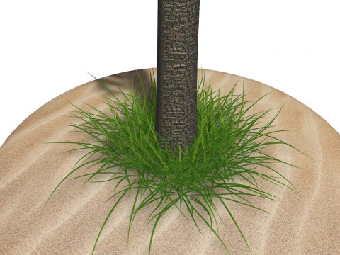 Palm Tree R1 3D Model