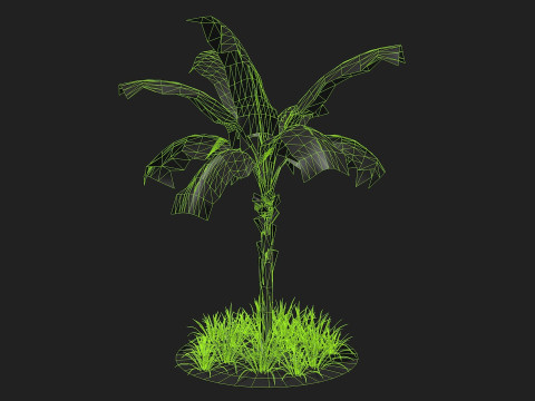 Banana Tree R1 3D मॉडल