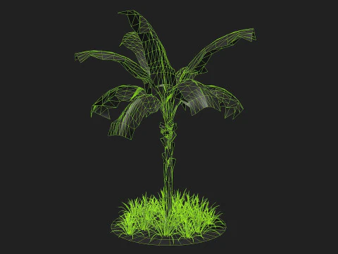 Banana Tree R1 3D Model