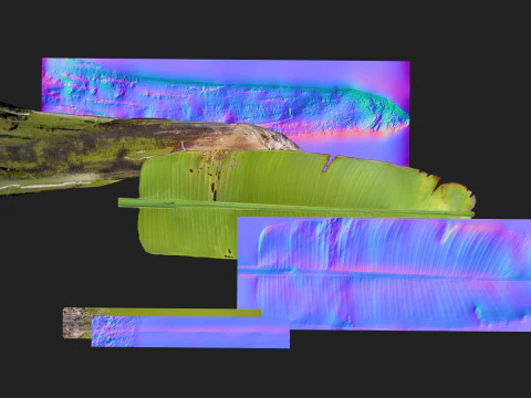 Banana Tree R1 3D Model