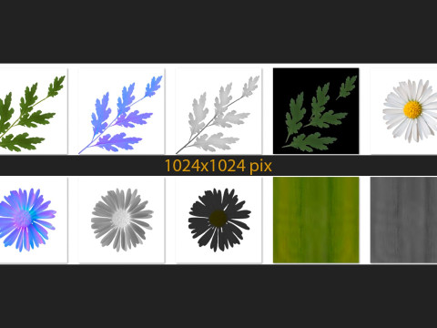 Camomile field grass chamomile garden 3Dモデル