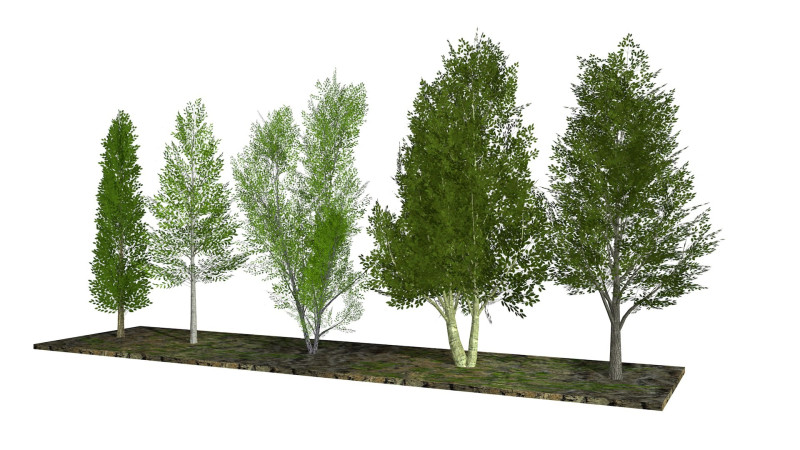Five low poly trees R2 Low-poly 3Dモデル .c4d .max .obj .3ds .fbx .stl .blend 