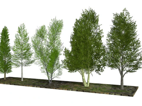 Vijf laag polybomen R2 Low-poly 3D Model