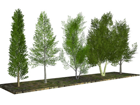 Five low poly trees R2 Low-poly 3Dモデル