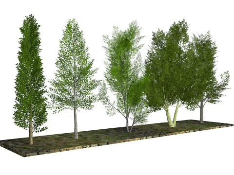 Five low poly trees R2 Low-poly 3D Model