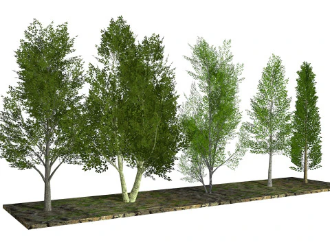 Five low poly trees R2 Low-poly 3D Model