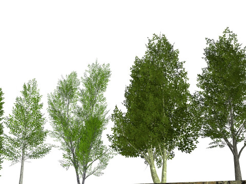 Five low poly trees R2 Low-poly 3Dモデル