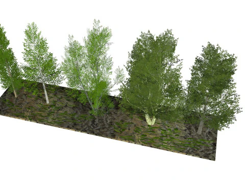Five low poly trees R2 Low-poly 3D Model
