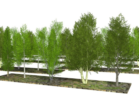 Five low poly trees R2 Low-poly 3Dモデル