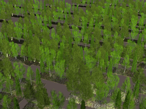 Five low poly trees R2 Low-poly 3Dモデル