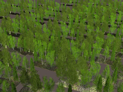 Five low poly trees R2 Low-poly 3D Model