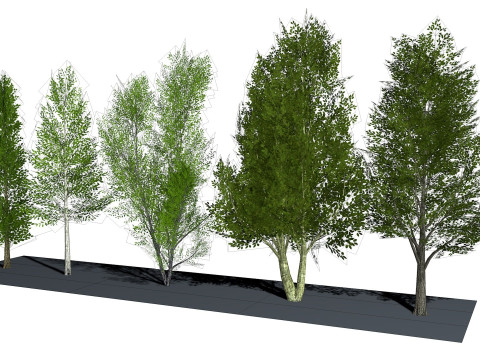 Five low poly trees R2 Low-poly 3Dモデル