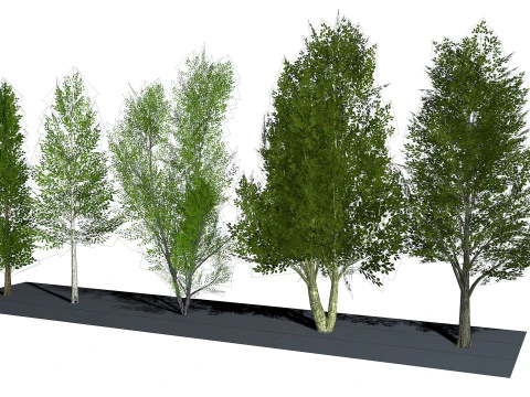 Five low poly trees R2 Low-poly 3D Model