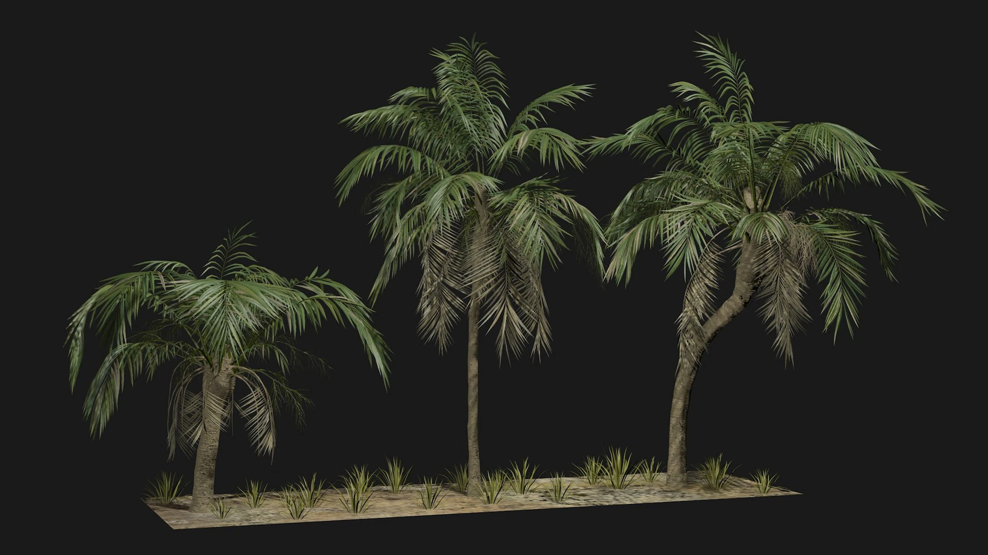 Tropical Palm 3 trees 3D Model .c4d .max .obj .3ds .fbx .stl .blend 