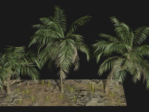 Tropical Palm 3 trees 3D Model