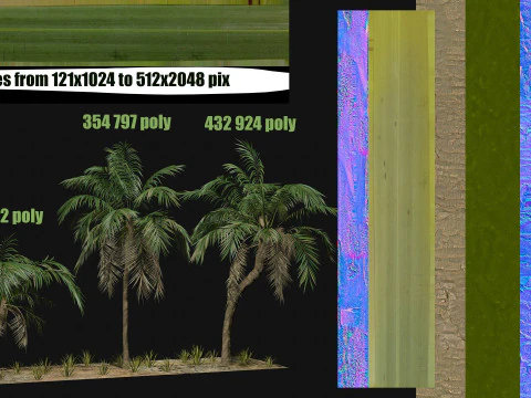 Tropical Palm 3 trees 3D Model