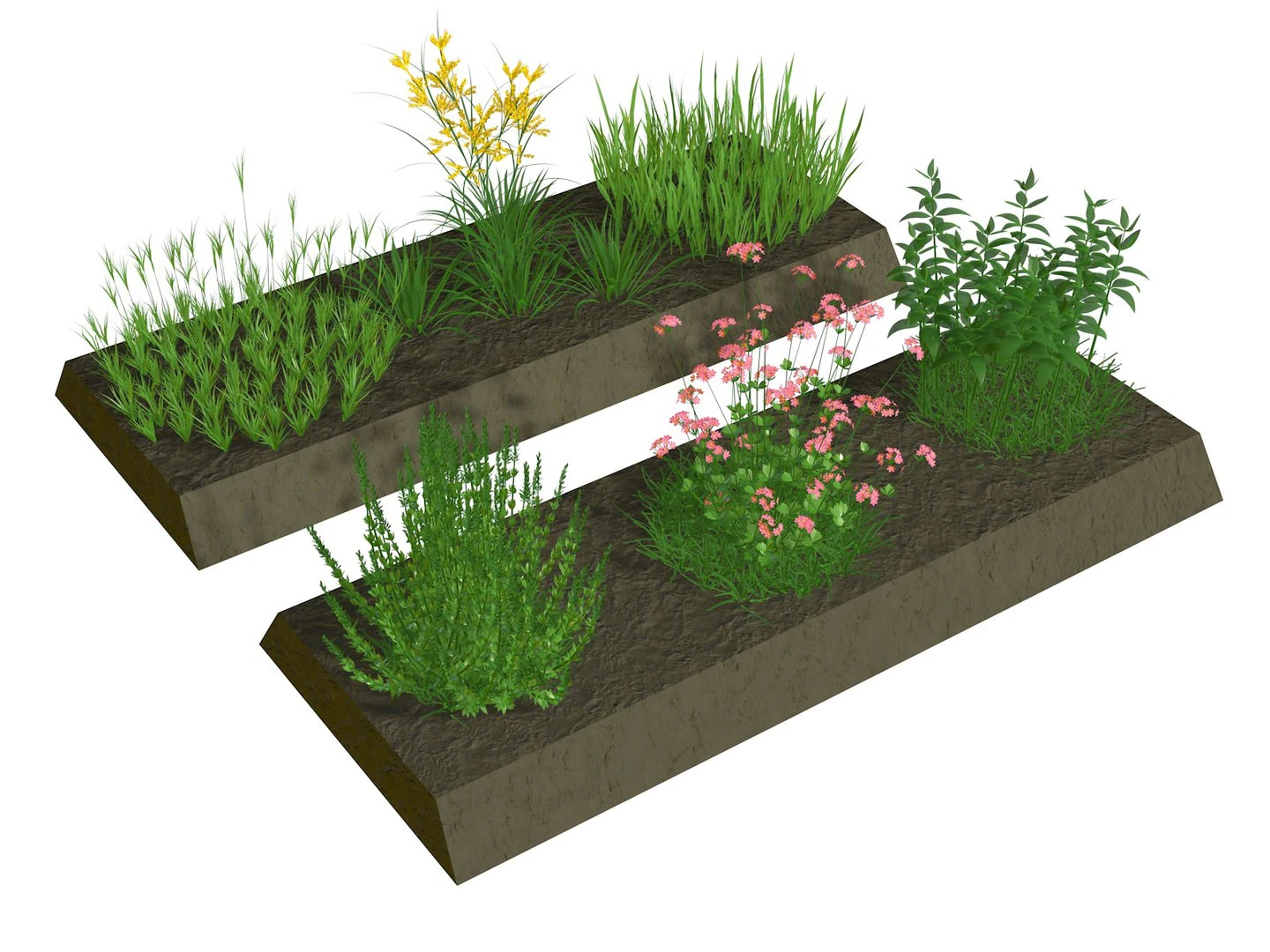 Herbage reeds and grass R2 3D Model .c4d .max .obj .3ds .fbx .stl .blend 