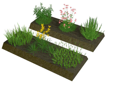 Herbage reeds and grass R2 3D Model