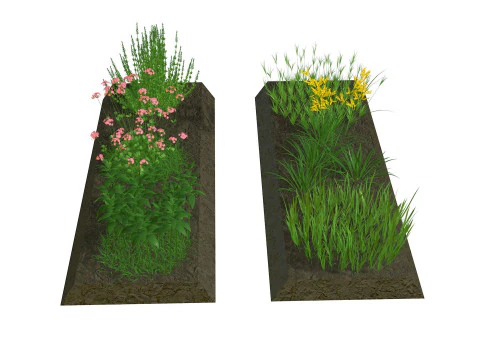 Herbage reeds and grass R2 3D Model