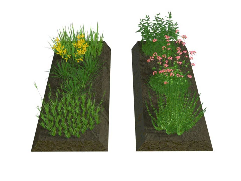 Herbage reeds and grass R2 3D Model