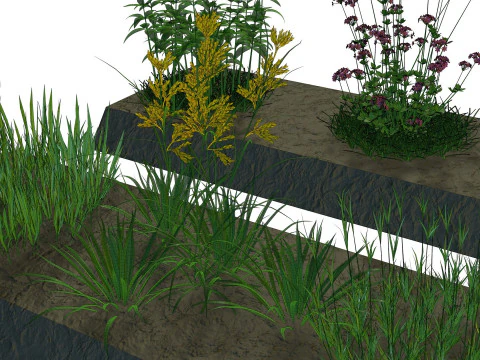 Herbage reeds and grass R2 3D Model