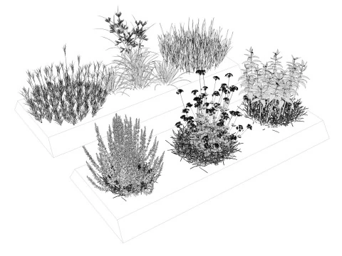 Herbage reeds and grass R2 3D Model