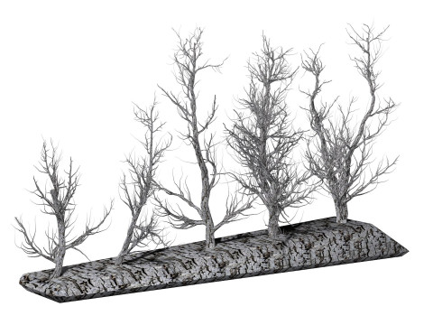 Root 5 trees low-poly R2 3D Model