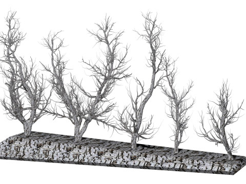 Root 5 trees low-poly R2 Modèle 3D