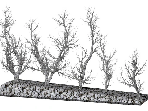 Root 5 trees low-poly R2 3D Model