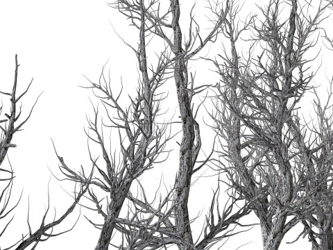 Root 5 trees low-poly R2 3D Model