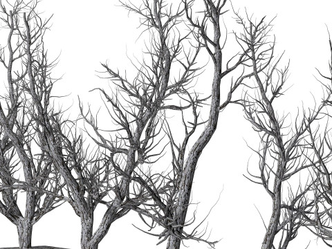 Root 5 trees low-poly R2 Modèle 3D