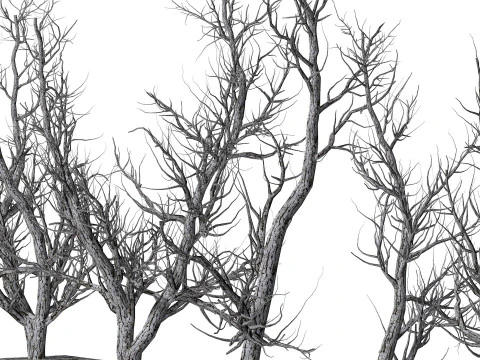 Root 5 trees low-poly R2 3D Model