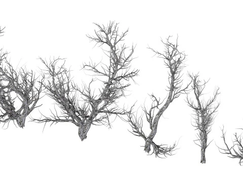 Root 5 trees low-poly R2 3D Model