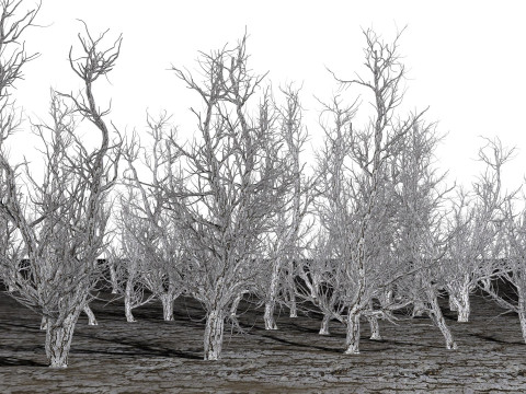 Root 5 trees low-poly R2 Modèle 3D