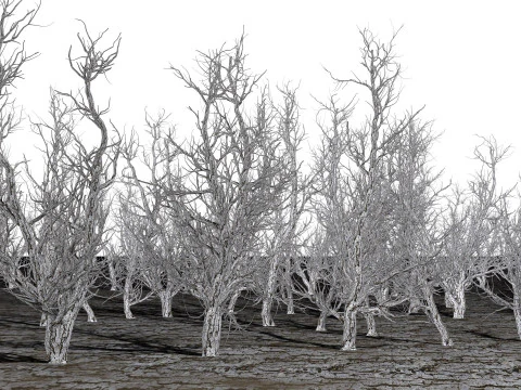 Root 5 trees low-poly R2 3D Model