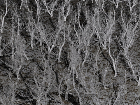 Root 5 trees low-poly R2 Modèle 3D
