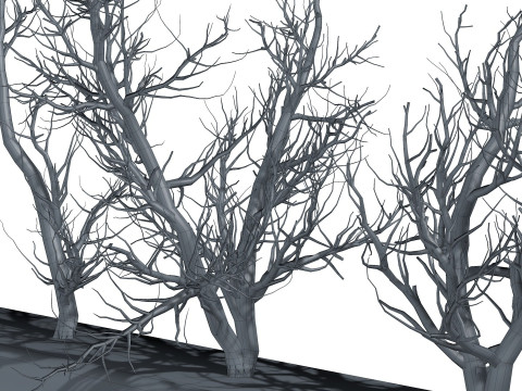 Root 5 trees low-poly R2 Modèle 3D