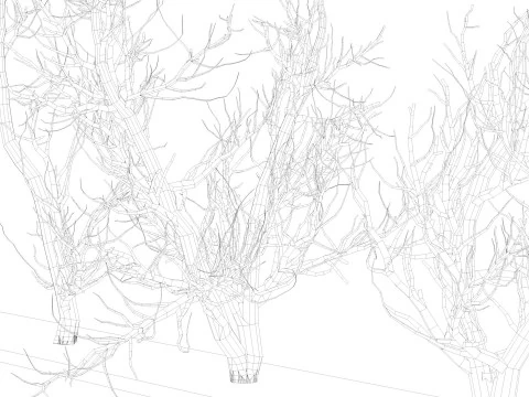 Root 5 trees low-poly R2 3D Model