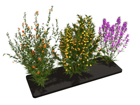 Três flores silvestres Modelo 3D