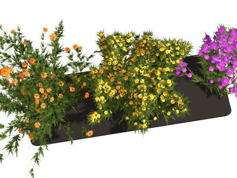Three wild flowers 3Dモデル