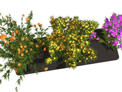 Drie wilde bloemen 3D Model