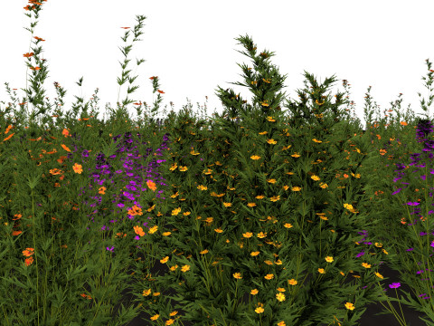 Three wild flowers 3Dモデル