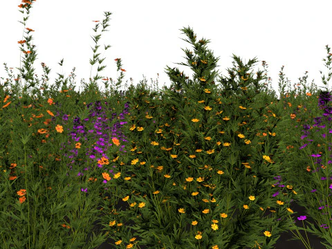 Drie wilde bloemen 3D Model